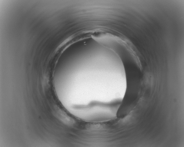 X0000082200826200701270116