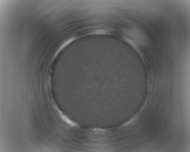 X0000082200827200701270116