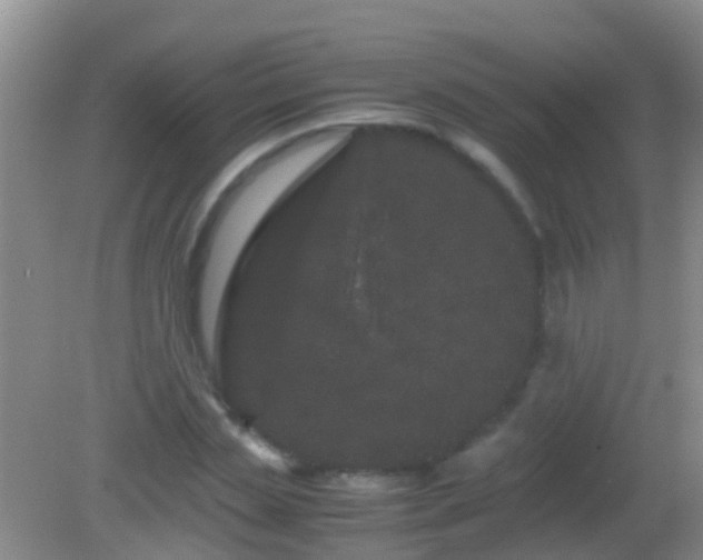 X0000082200829200701270116