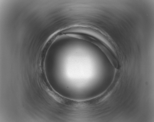 X0000082200830200701270116