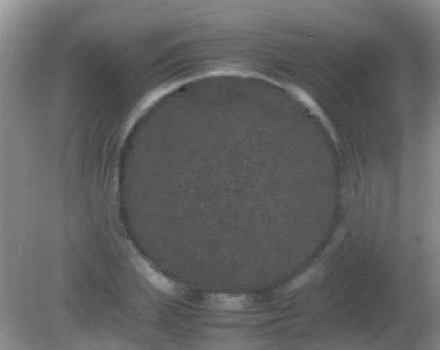 X0000082200831200701270116