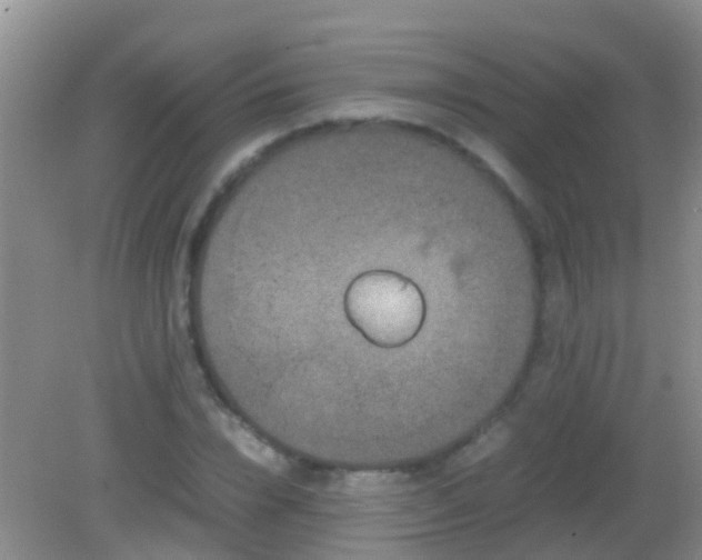 X0000082200832200701270116