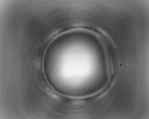 X0000082200833200701270116