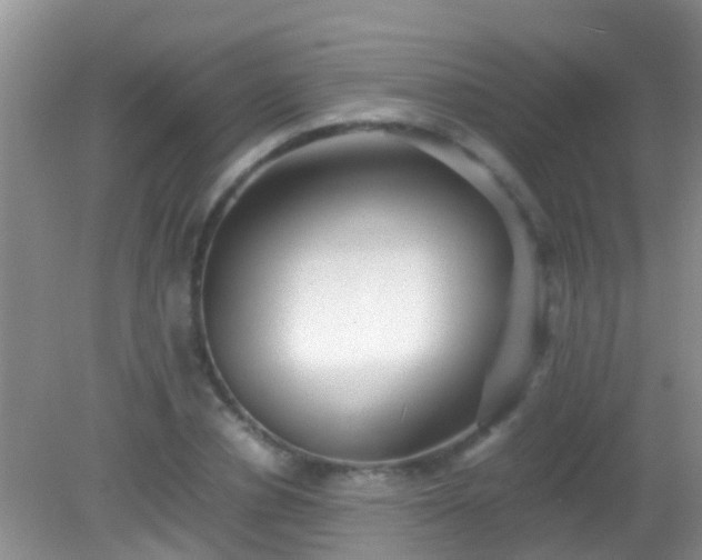 X0000082200834200701270116