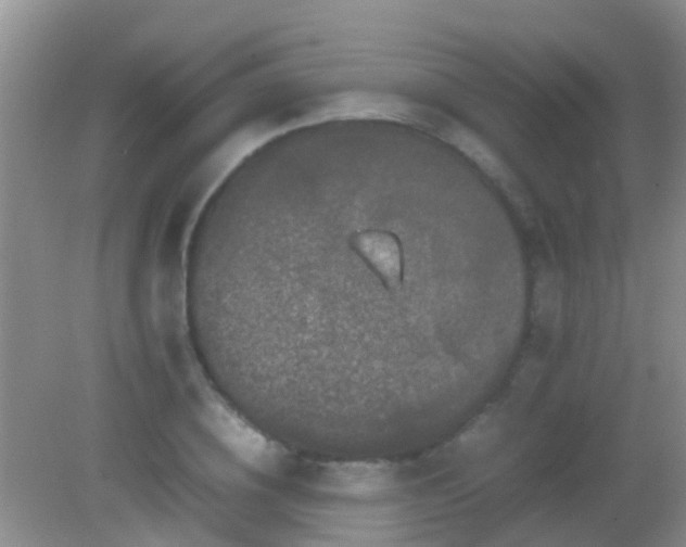 X0000082200836200701270116