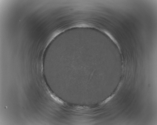 X0000082200837200701270116