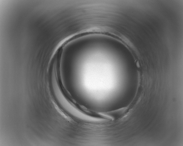 X0000082200838200701270116