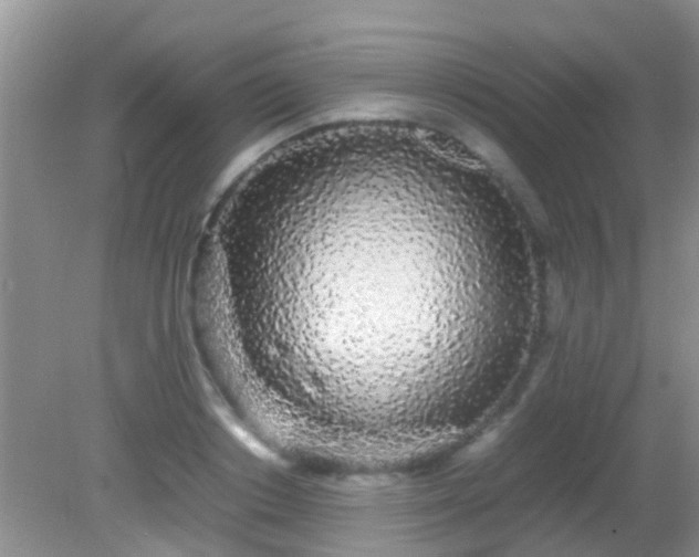 X0000082200842200701270116