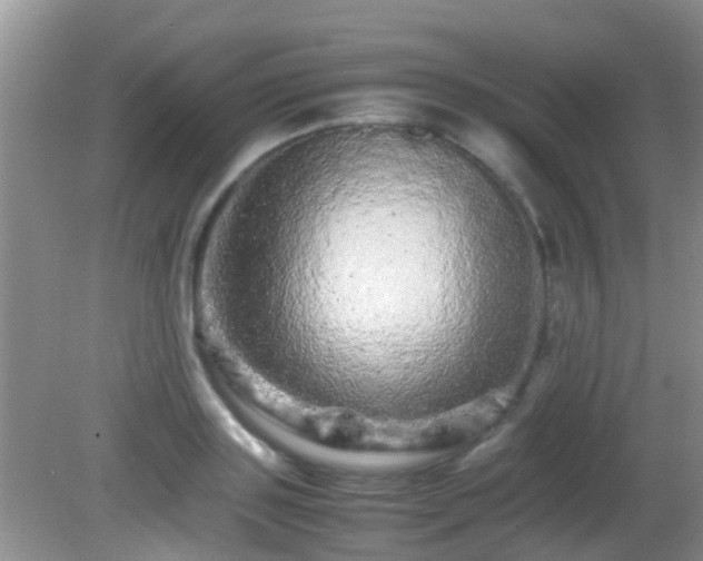 X0000082200843200701270116