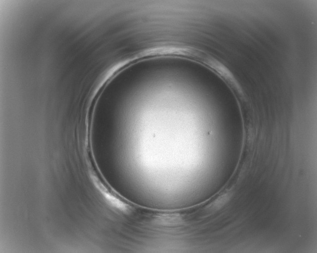 X0000082200844200701270116