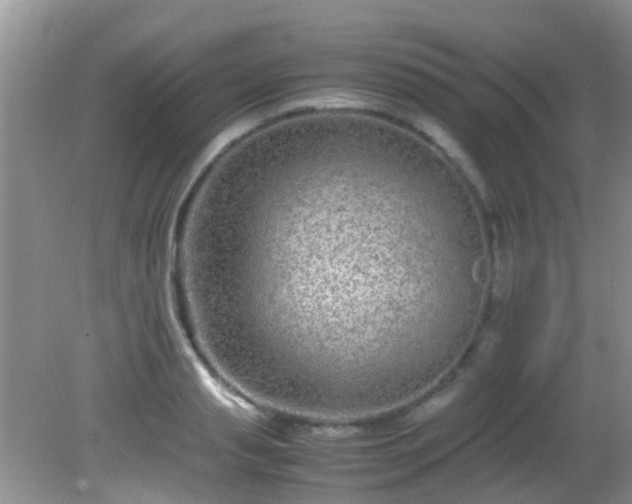 X0000082200845200701270116