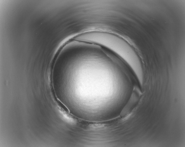 X0000082200846200701270116