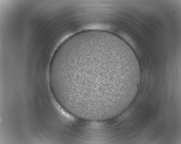 X0000082200848200701270116