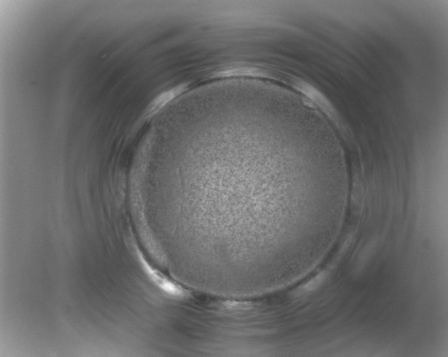 X0000082200849200701270116