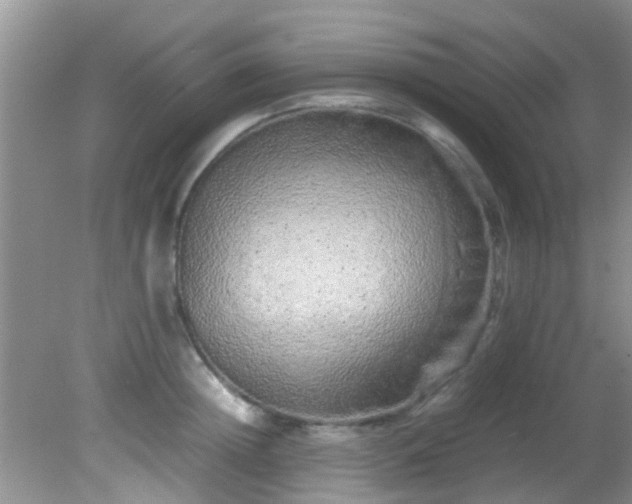 X0000082200852200701270116