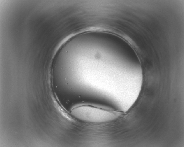 X0000082200854200701270116