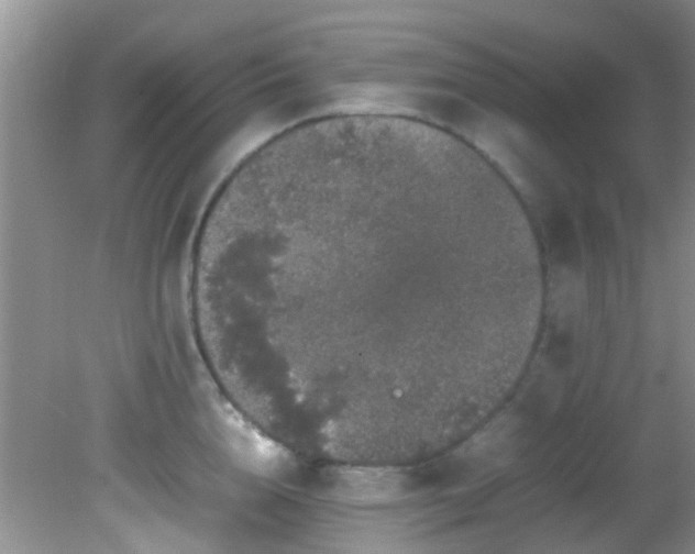 X0000082200856200701270116