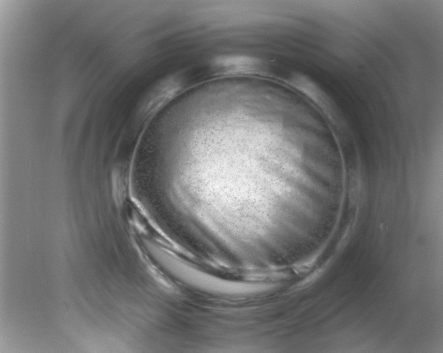 X0000082200857200701270116