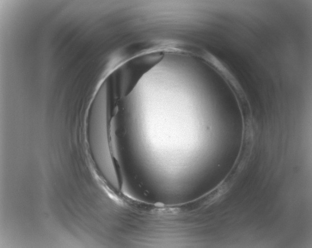 X0000082200858200701270116