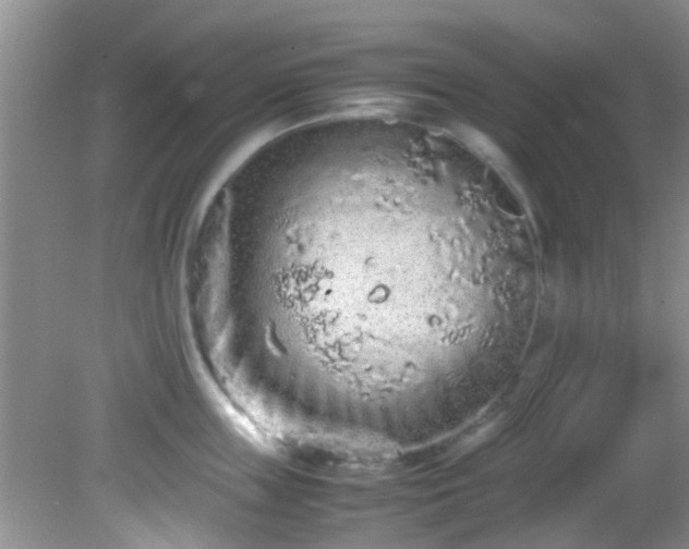 X0000082200859200701270116