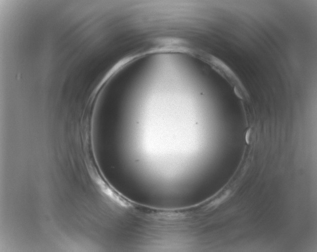 X0000082200860200701270116