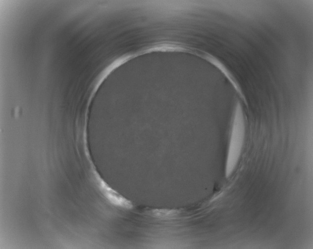 X0000082200861200701270116