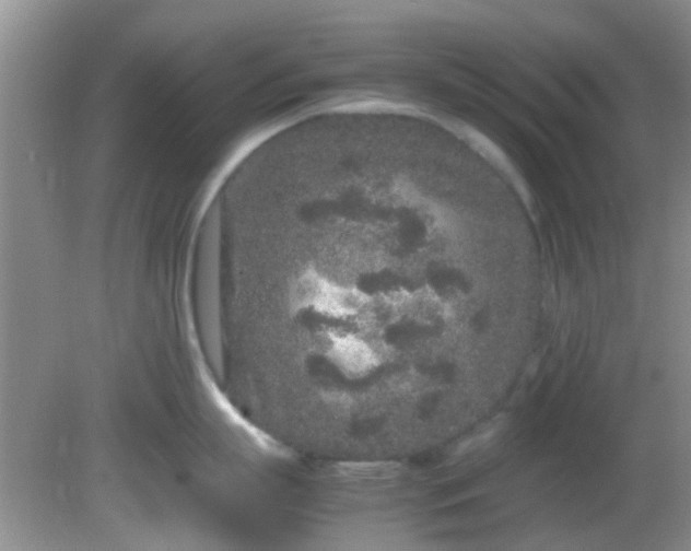 X0000082200863200701270116