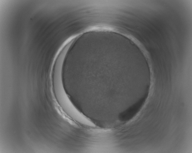 X0000082200864200701270116