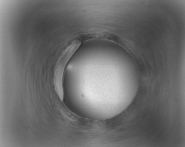 X0000082200865200701270116