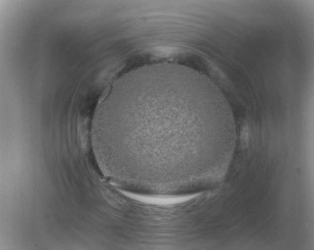 X0000082200868200701270115