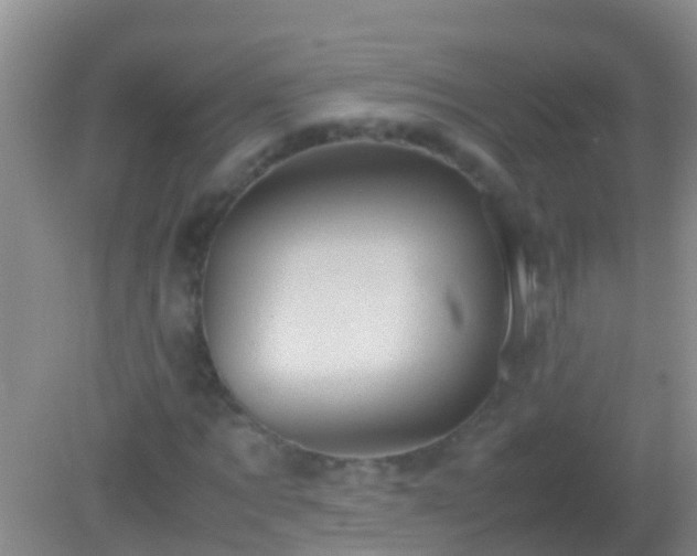 X0000082200869200701270115