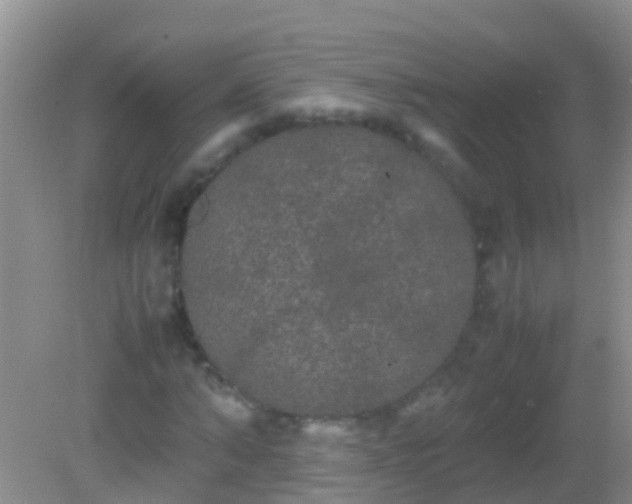 X0000082200870200701270115