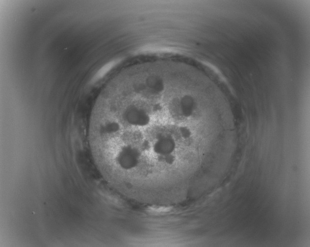 X0000082200871200701270115