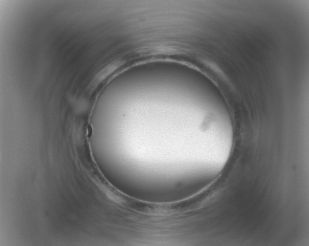 X0000082200873200701270115