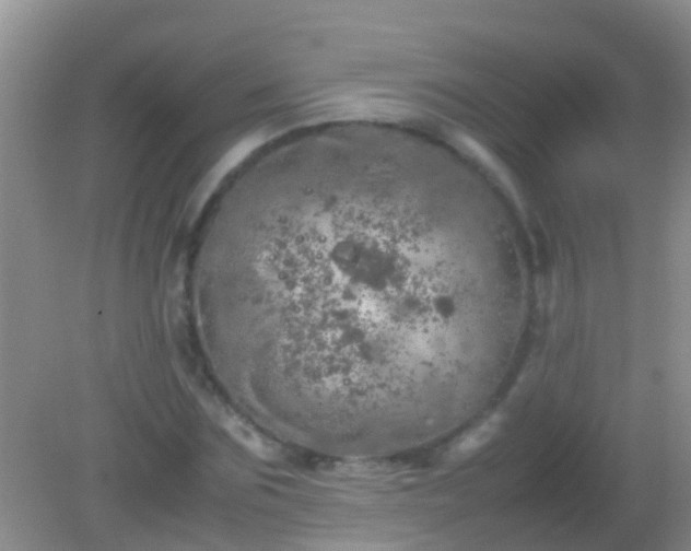 X0000082200875200701270115