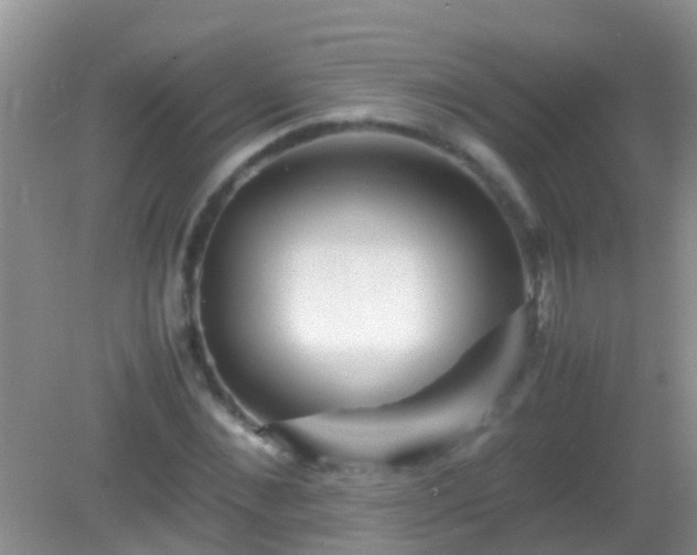 X0000082200876200701270115