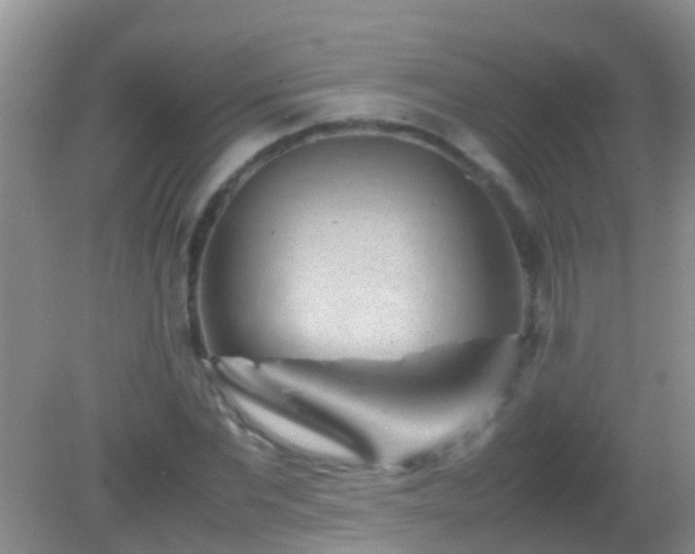 X0000082200877200701270115