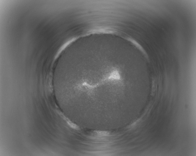 X0000082200878200701270115