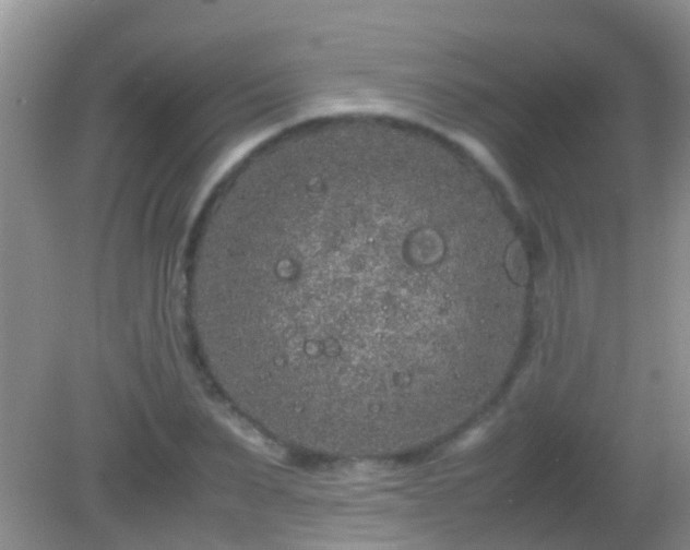 X0000082200879200701270115