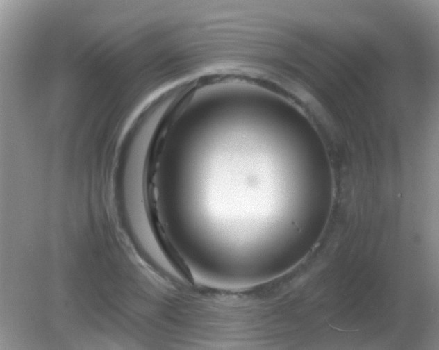 X0000082200880200701270115