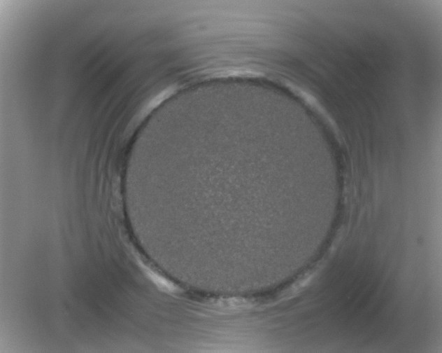 X0000082200881200701270115