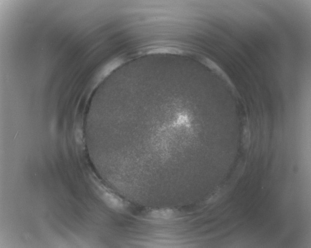 X0000082200882200701270115