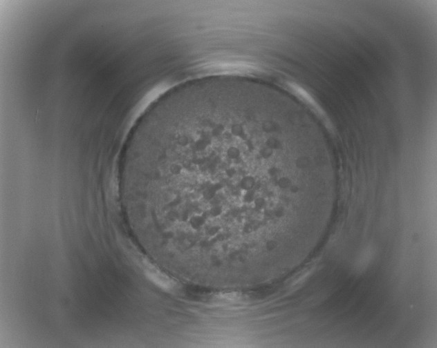 X0000082200883200701270115