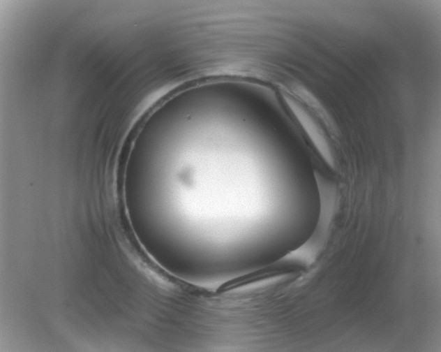 X0000082200884200701270115