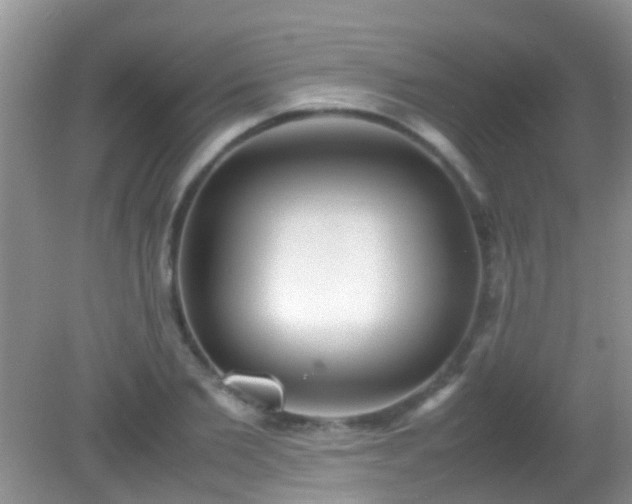 X0000082200885200701270115