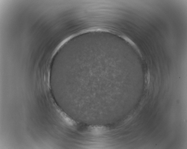 X0000082200886200701270115