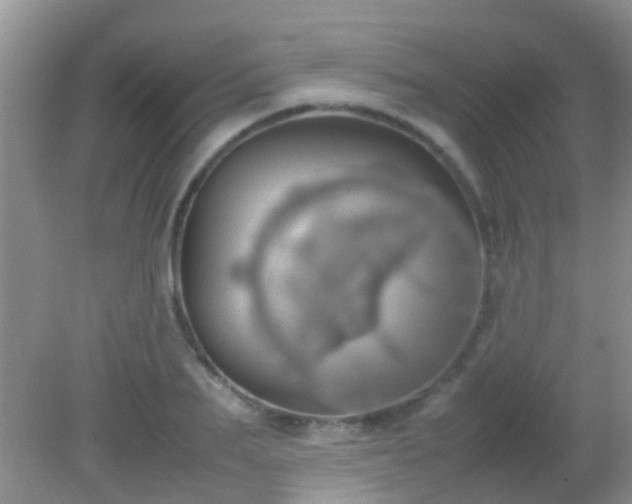 X0000082200887200701270115