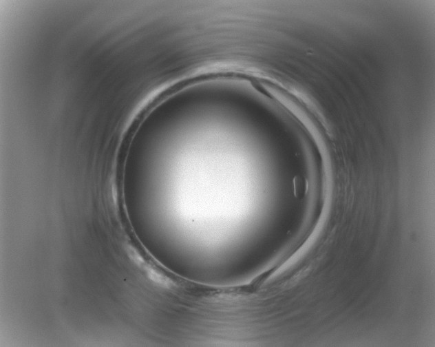 X0000082200888200701270115