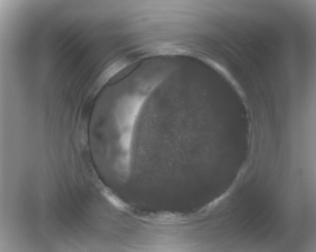 X0000082200889200701270115