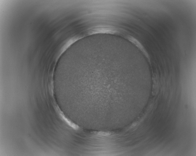 X0000082200890200701270115